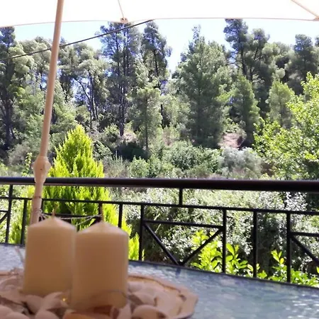 Little Paradise In *