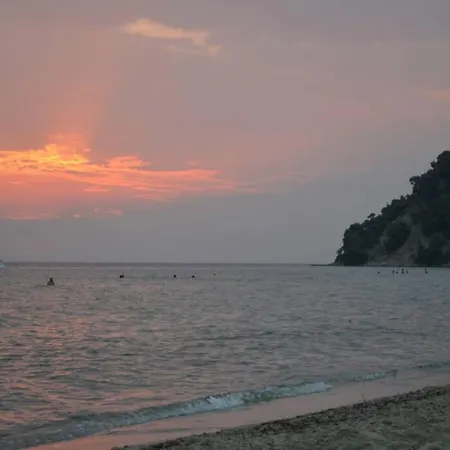 Little Paradise In *