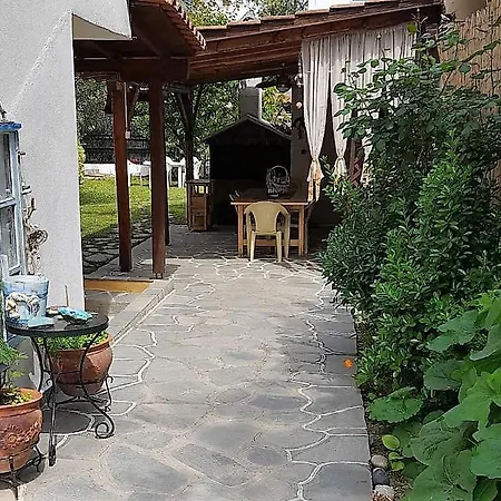 Little Paradise In