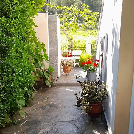 Little Paradise In