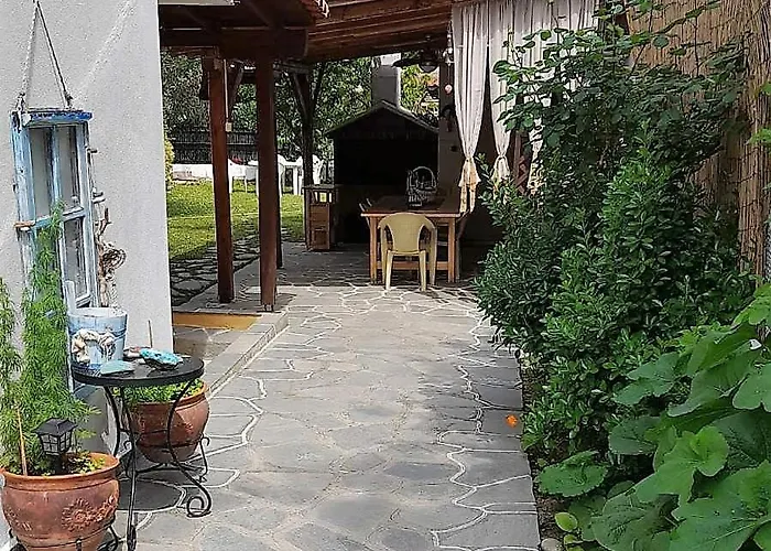 Little Paradise In