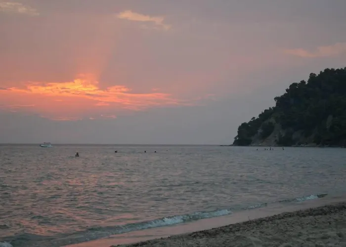 Little Paradise In *